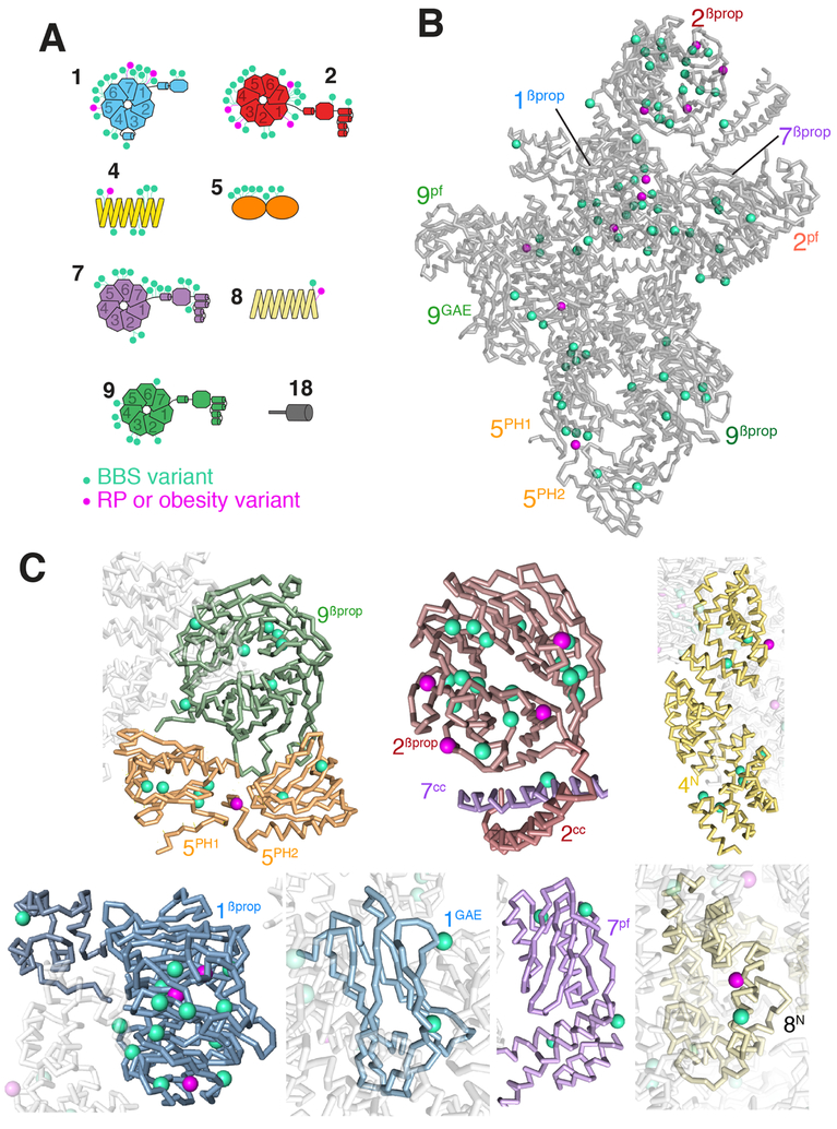 Figure 4.