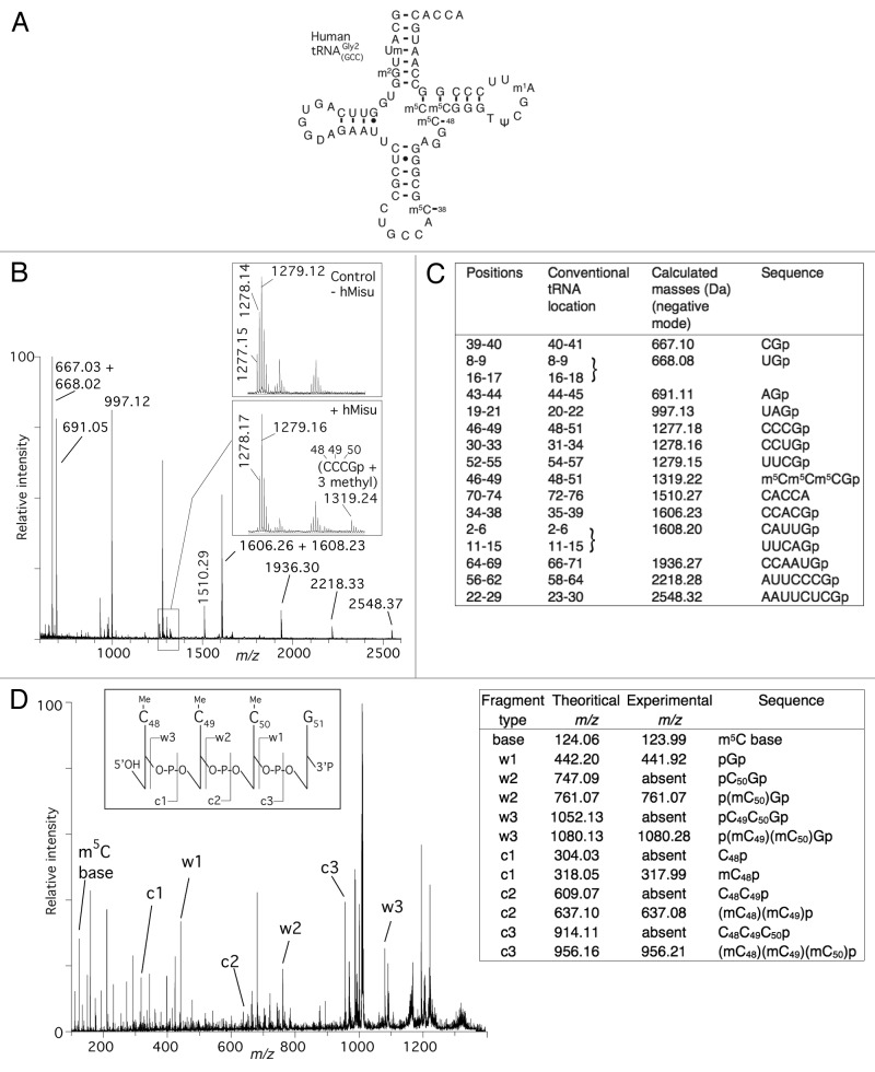 graphic file with name rna-9-1331-g4.jpg