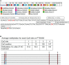 Figure 6