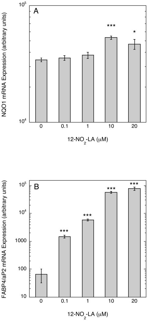 Fig. 10