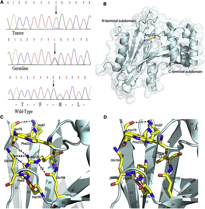 Figure 2