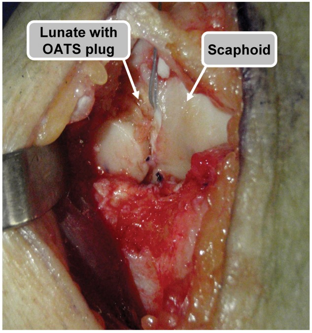 Figure 4.