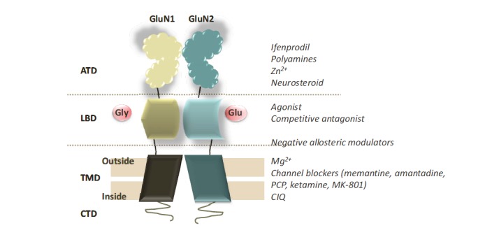 Fig. (1)