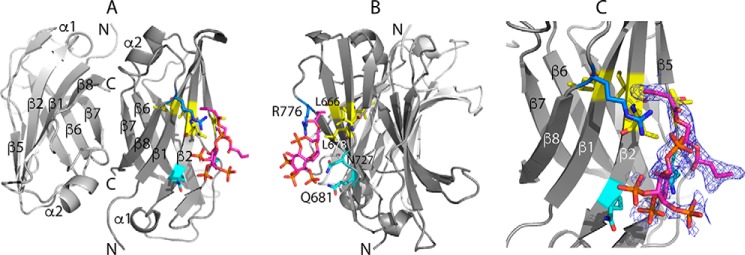 Figure 5.