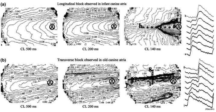 Fig. 8