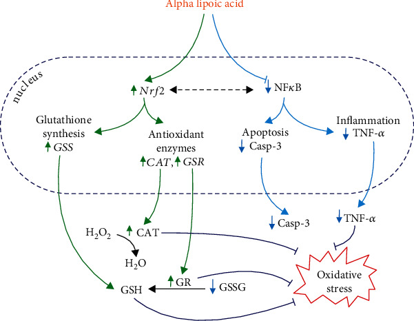 Figure 11