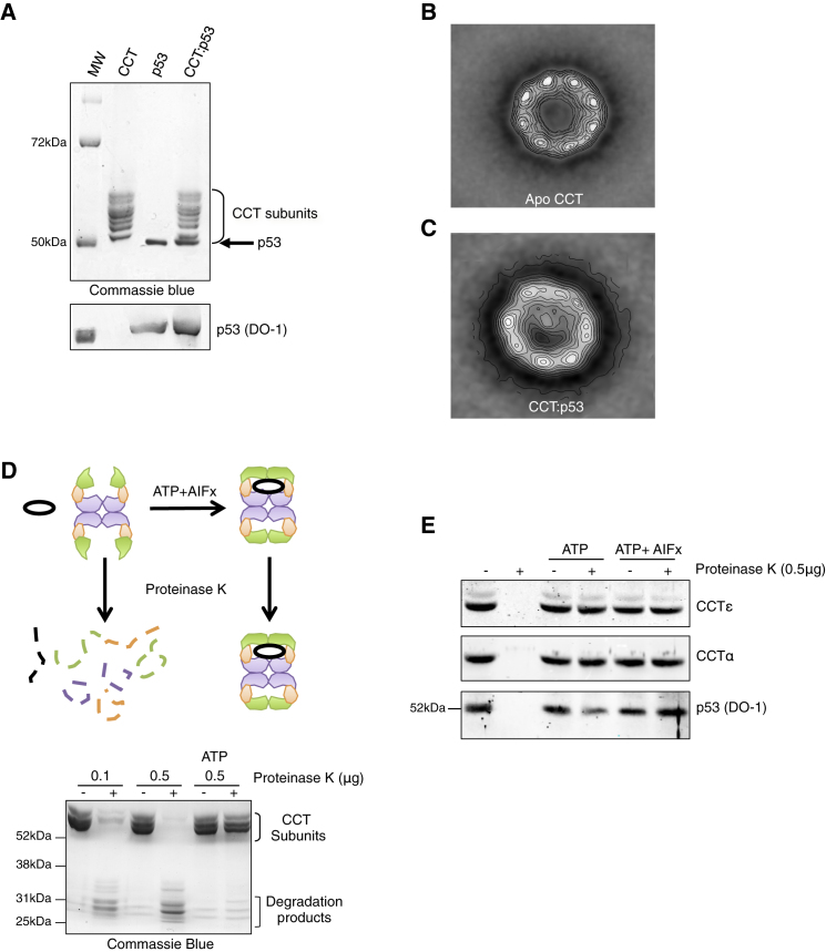 Figure 3