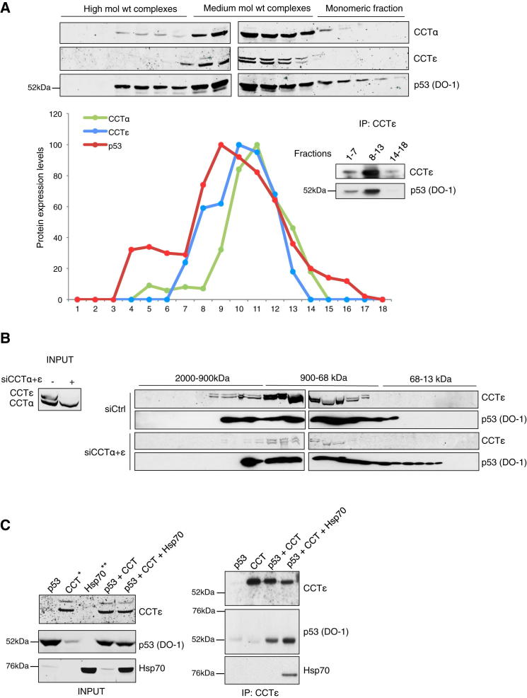 Figure 2