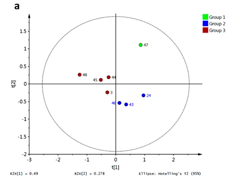 Figure 18