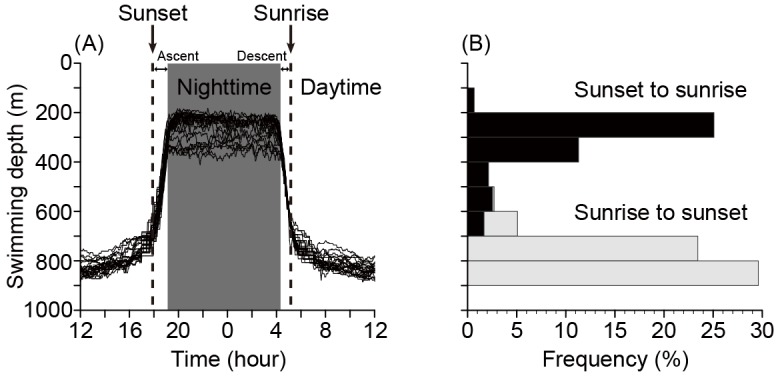 Fig. 3.