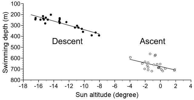 Fig. 9.