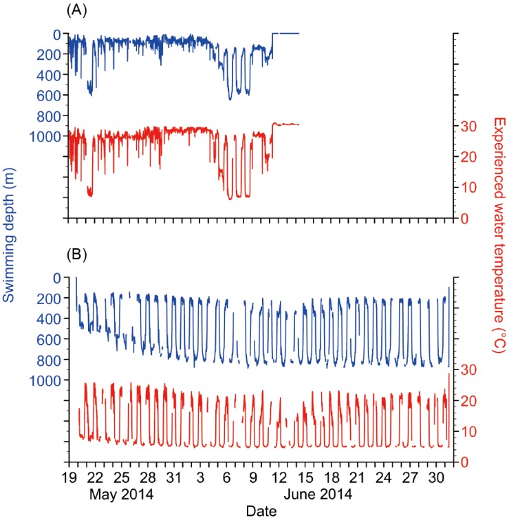 Fig. 2.