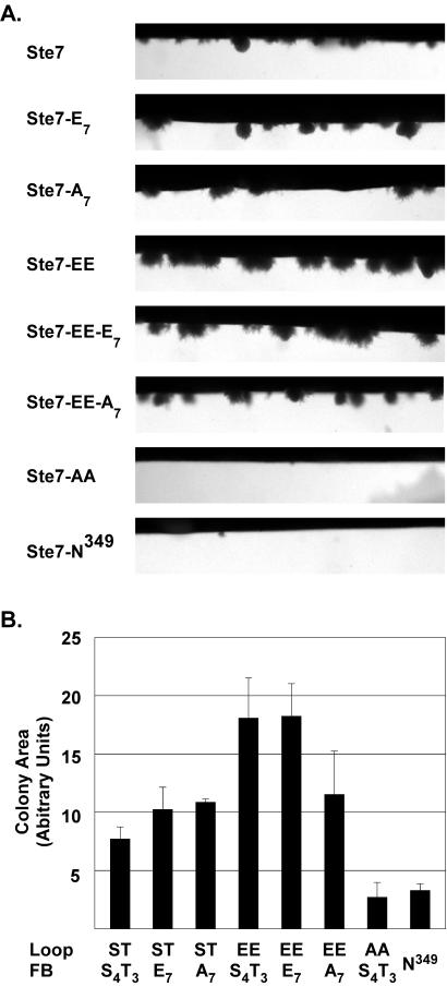 FIG. 6.