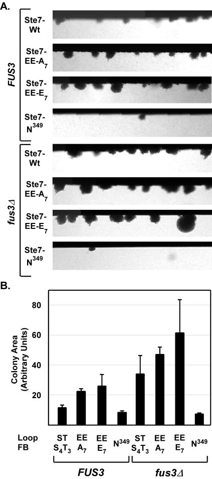 FIG. 9.