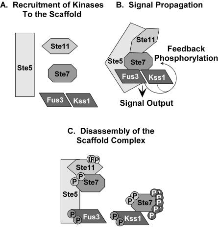 FIG. 10.