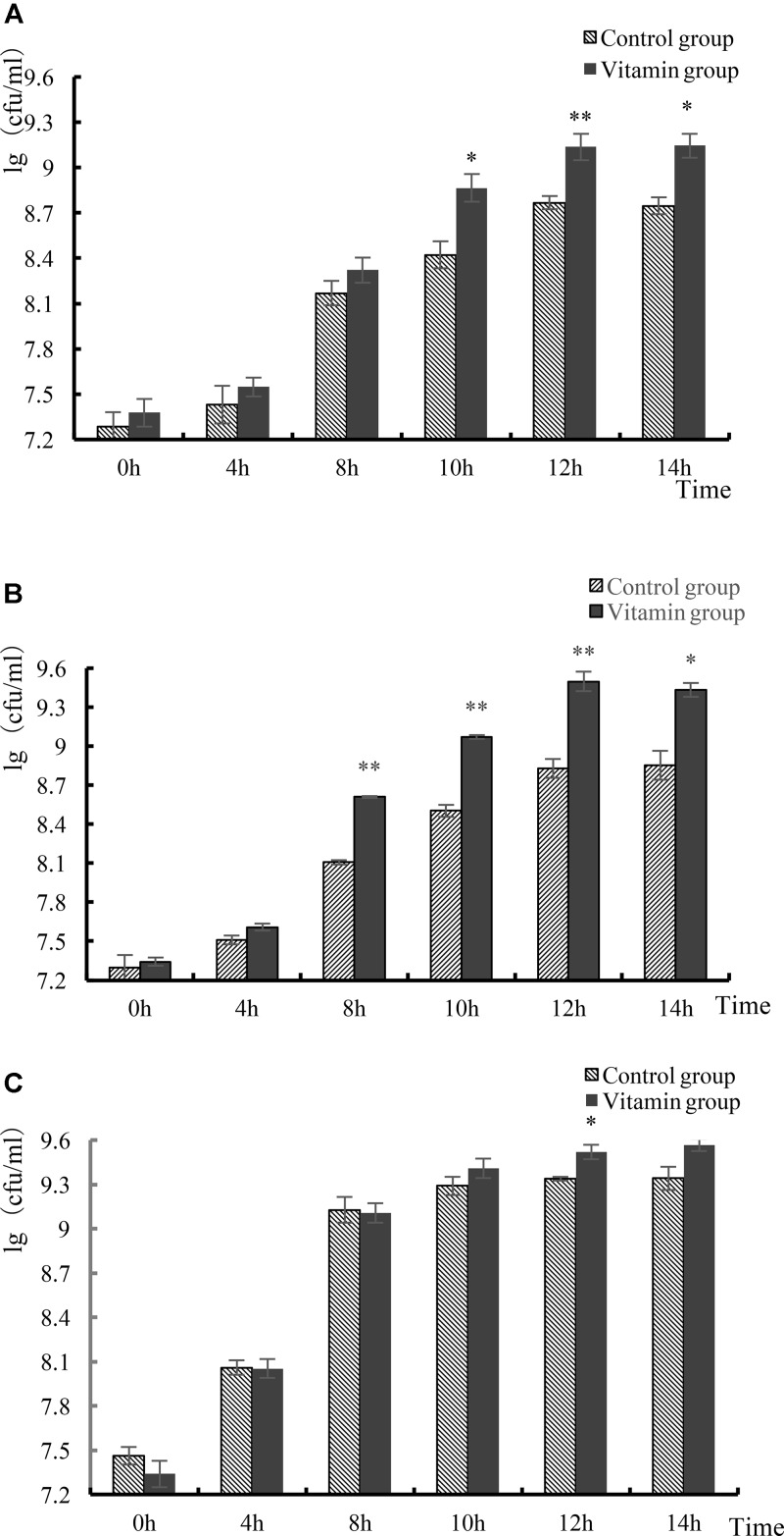 FIGURE 3