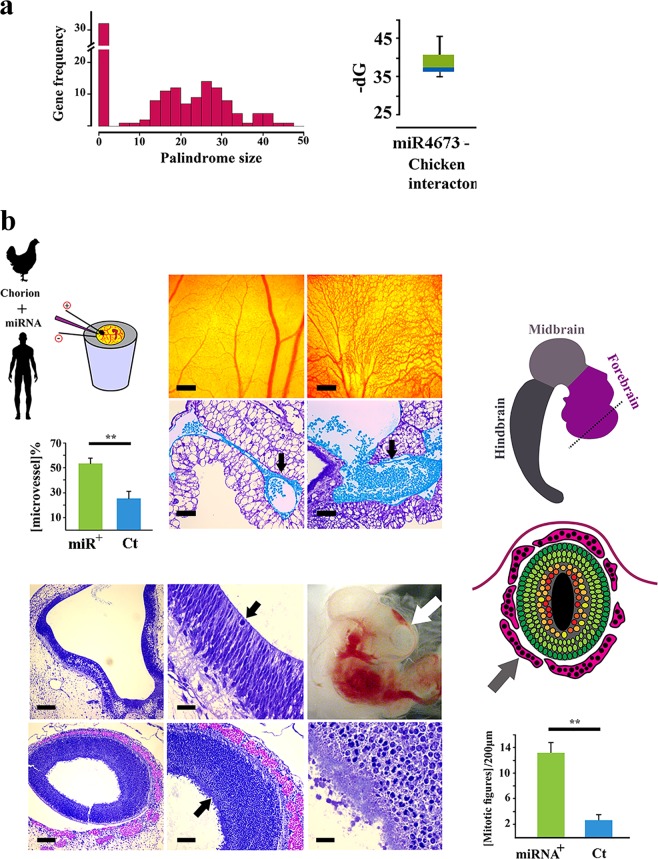 Fig. 11