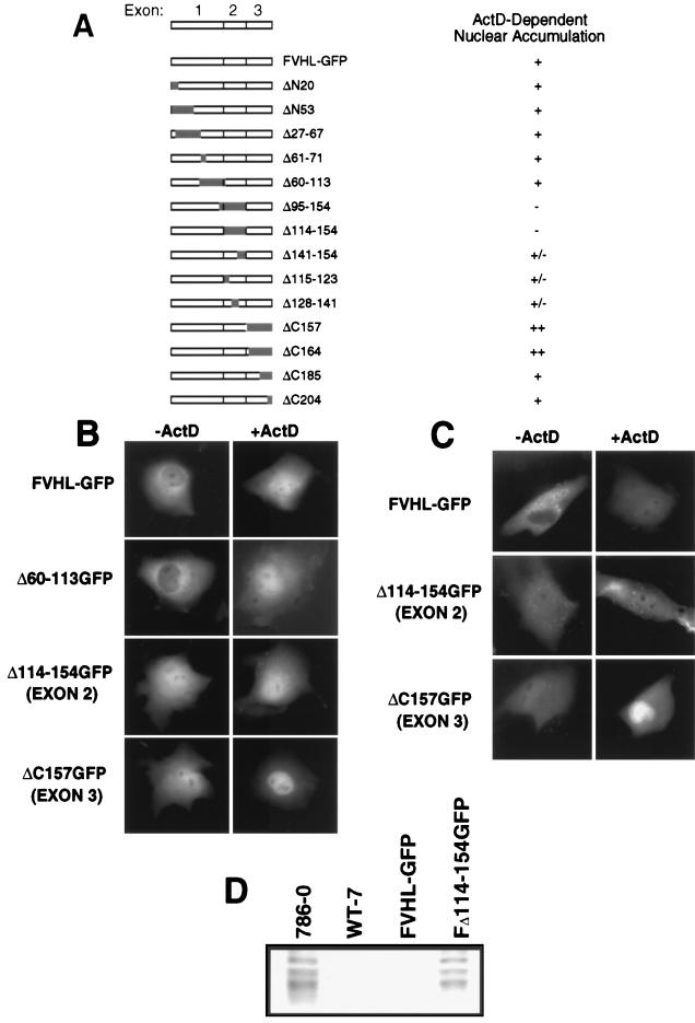 FIG. 5