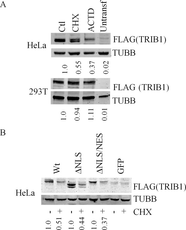 Fig 11