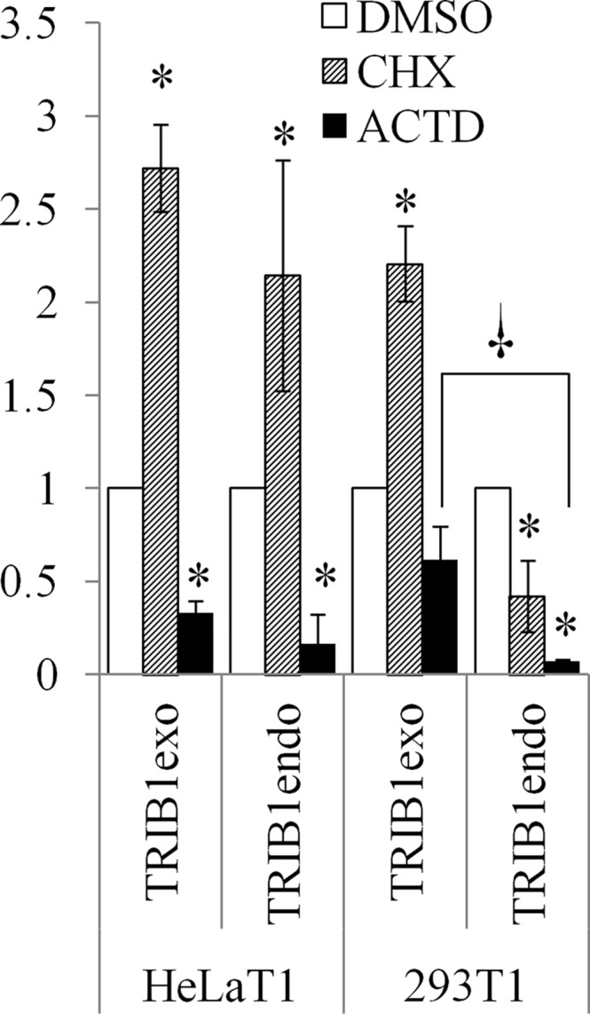 Fig 5