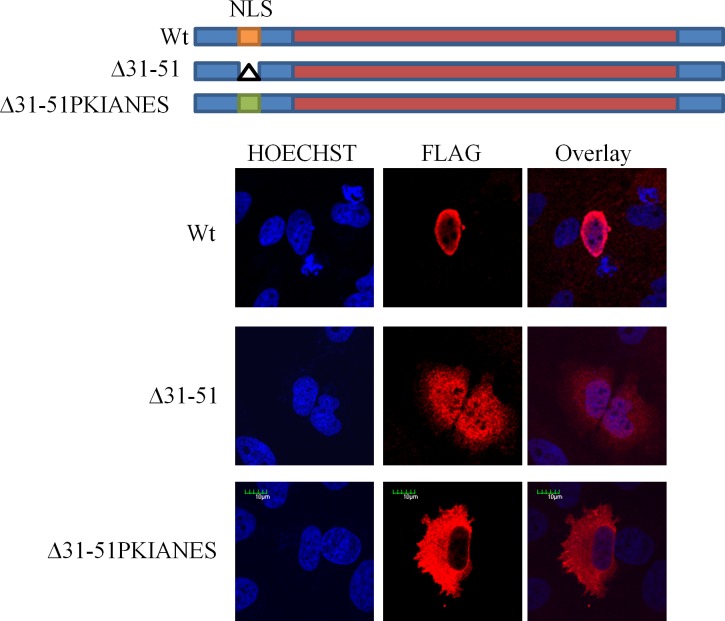 Fig 10