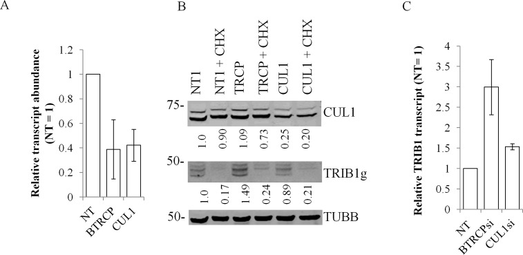 Fig 8