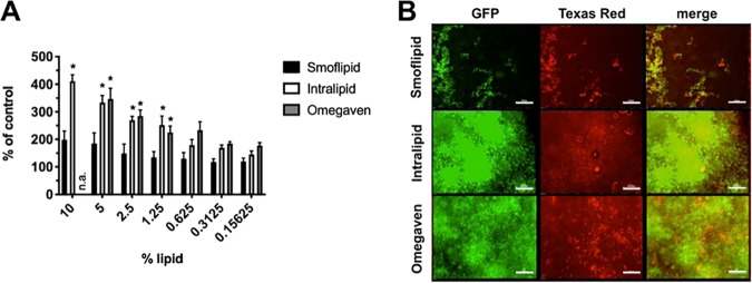 FIG 2