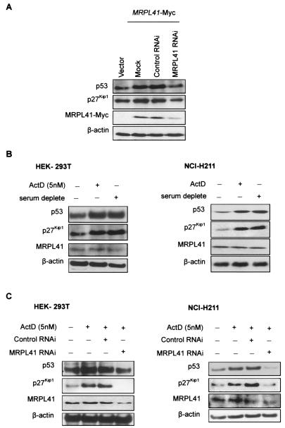 FIG. 9.