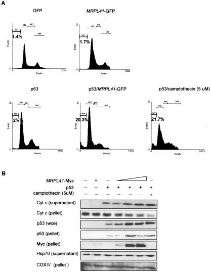 FIG. 7.