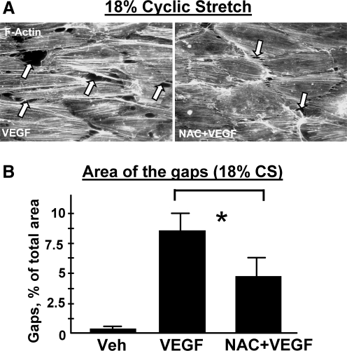 FIG. 9.