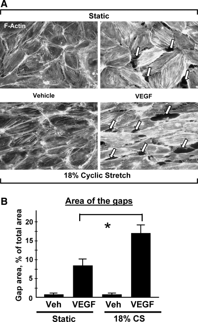 FIG. 8.