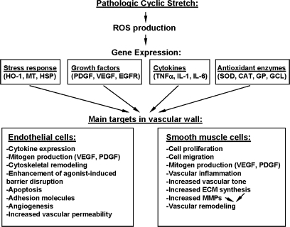 FIG. 6.