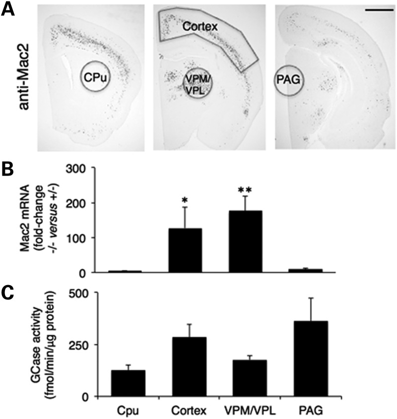 Figure 1.