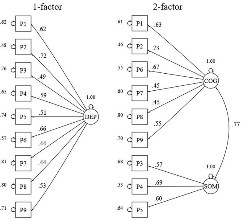 FIGURE 1