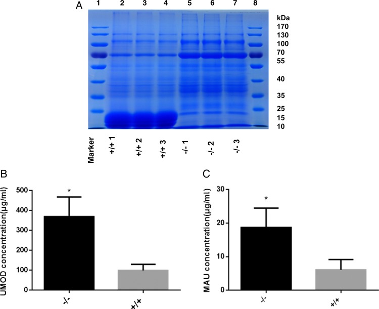 Figure 3.