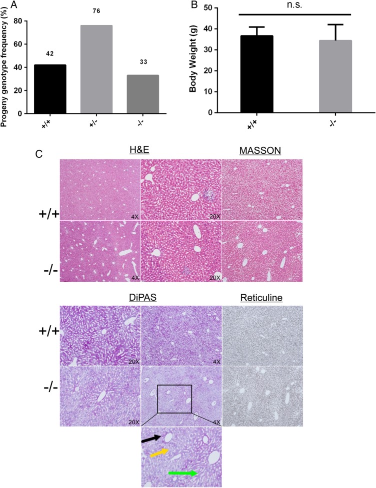 Figure 2.