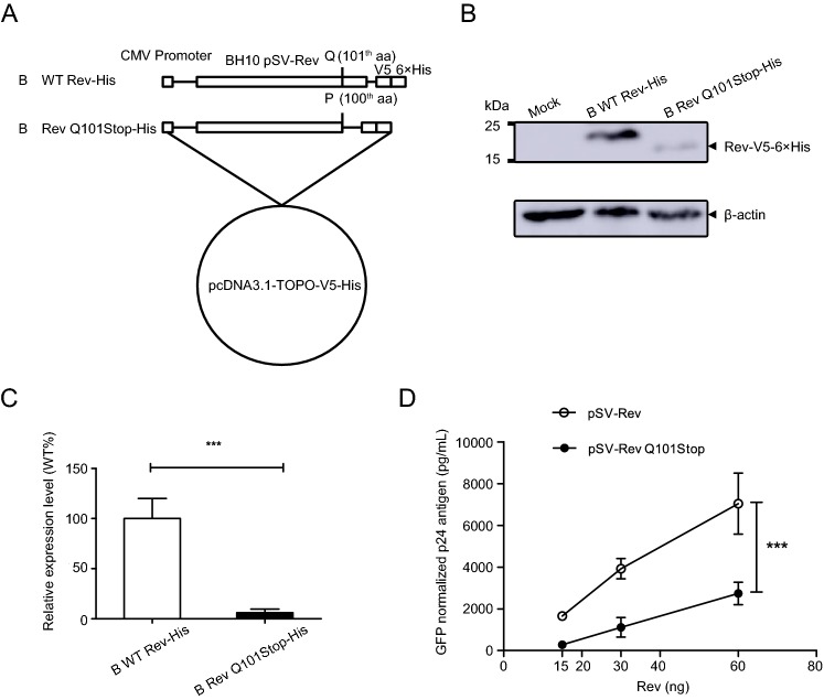 Fig. 4