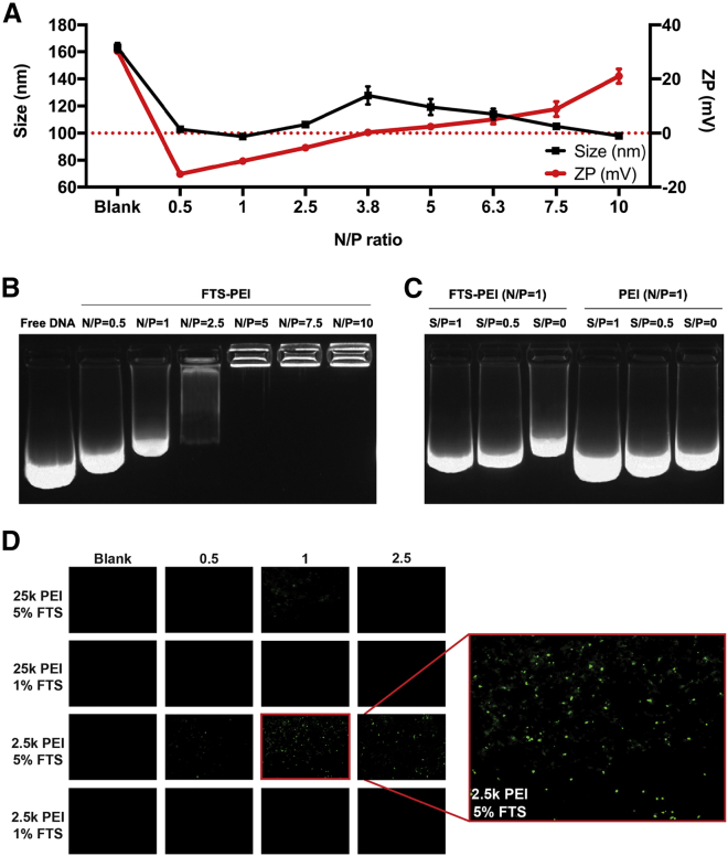 Figure 2