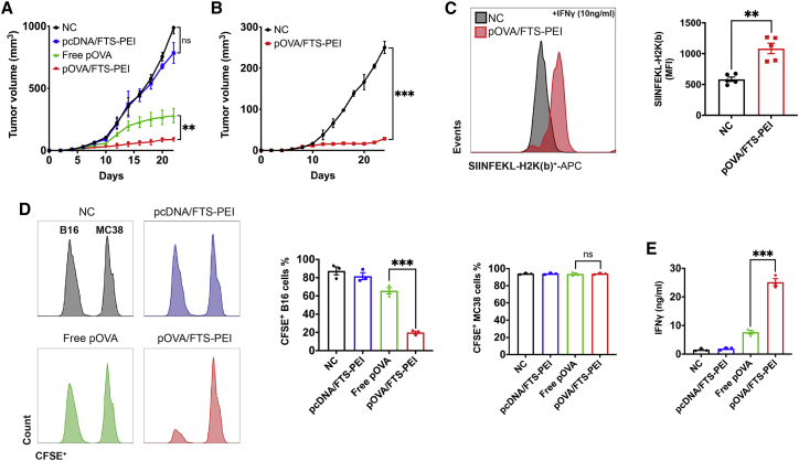 Figure 4