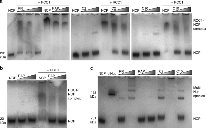 Fig. 8