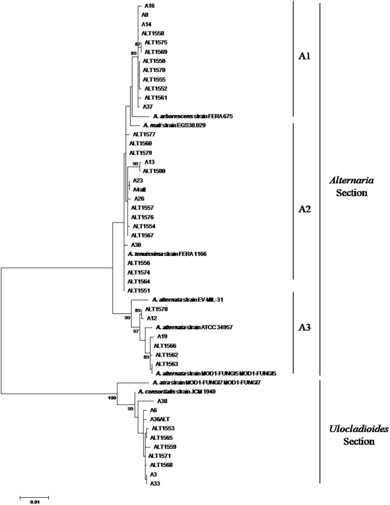 Figure 1