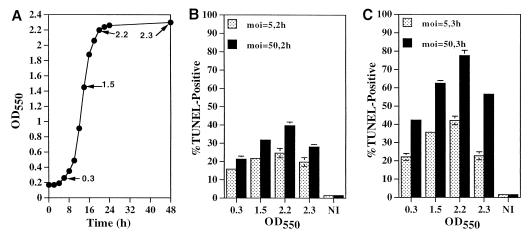 FIG. 1