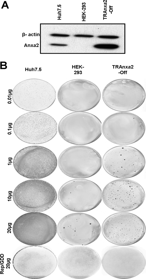 Fig 9