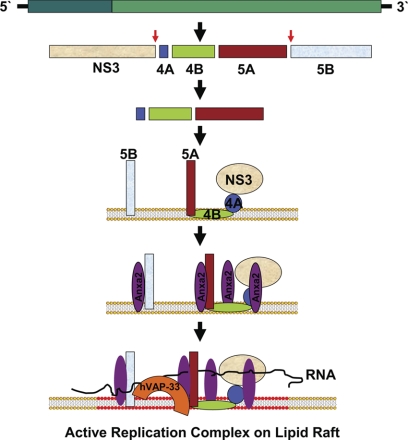 Fig 10