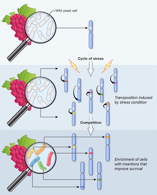 Figure 6.