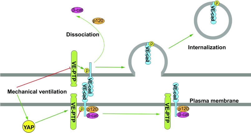 Figure 9.