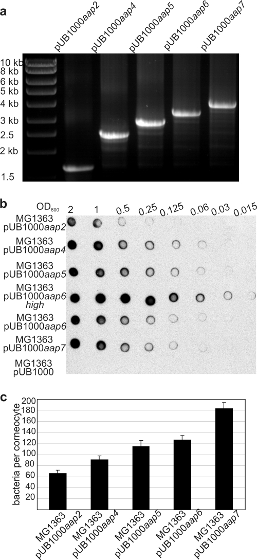 FIG. 6.