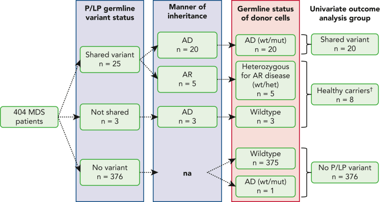 Figure 2.