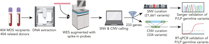 Figure 1.