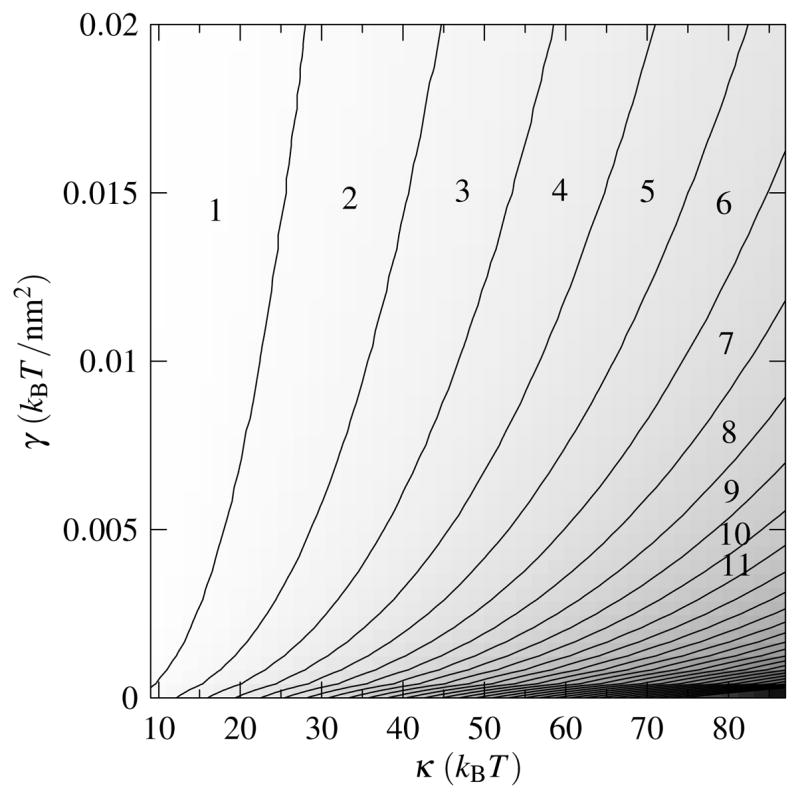 FIG. 3